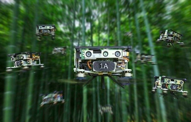 Рой автономных дронов способен ориентироваться в бамбуковом лесу