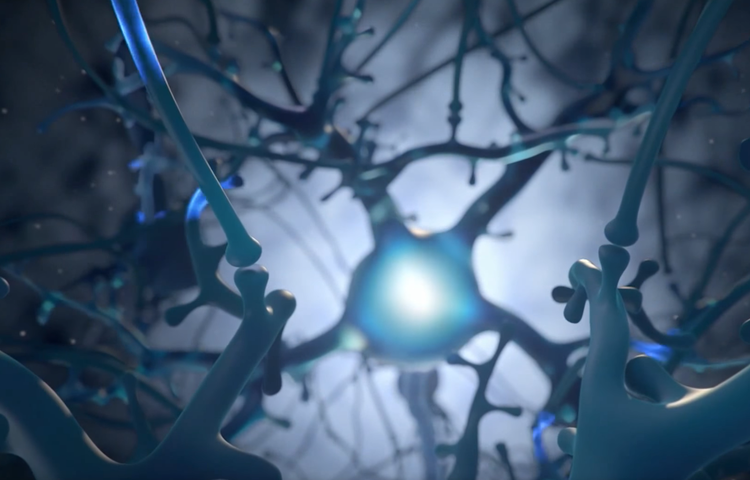 Что известно о новом мозговом имплантате, испытанном Neuralink?