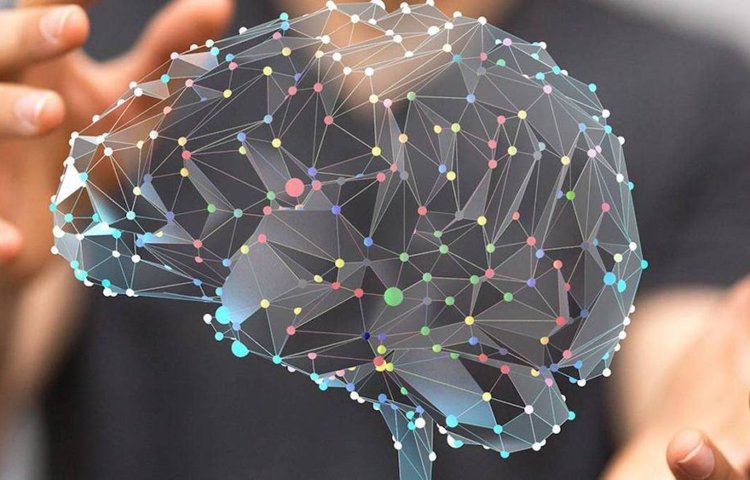 По словам ученых, человеческий мозг будет напрямую подключаться к Интернету в течение десятилетий