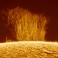 Стена плазмы высотой более 100 000 км господствовала над Солнцем, прежде чем разрушиться