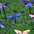 Инновация: самая легкая краска в мире, вдохновленная бабочками