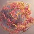 Вакцина против рака? Исследователи превращают раковые клетки в противораковое оружие