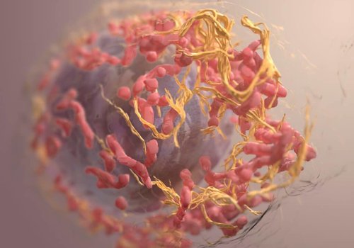 Вакцина против рака? Исследователи превращают раковые клетки в противораковое оружие