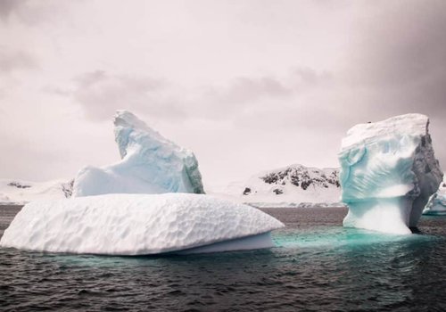 В Антарктиде нашли ДНК возрастом миллион лет