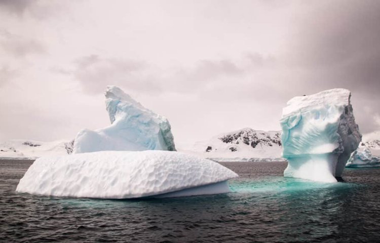 В Антарктиде нашли ДНК возрастом миллион лет