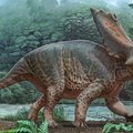 Открытие нового вида рогатого динозавра