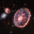 Галактика Колесо Телеги глазами Уэбба: новые беспрецедентные подробности