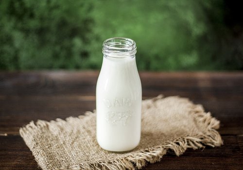 Ранние европейцы не переносили молоко, но все равно его пили