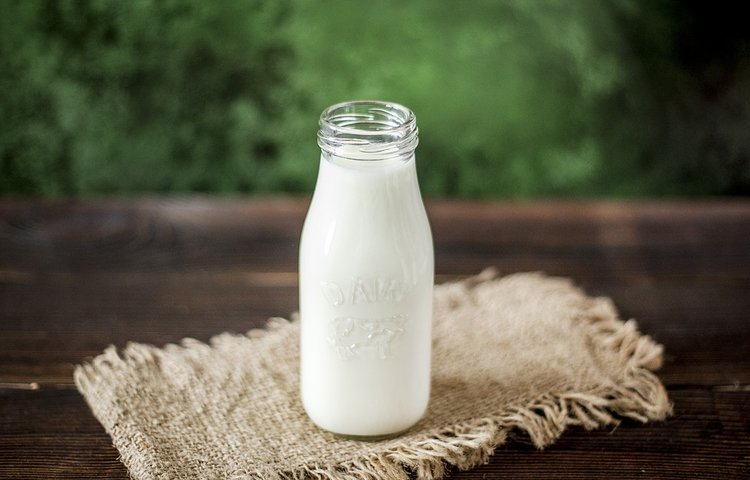 Ранние европейцы не переносили молоко, но все равно его пили