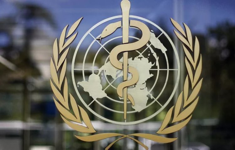Оспа обезьян: ВОЗ объявляет эпидемию глобальной чрезвычайной ситуацией в области общественного здравоохранения