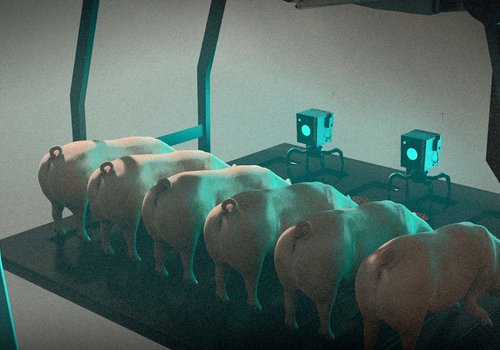 Китай выращивает клонов животных только с помощью роботов
