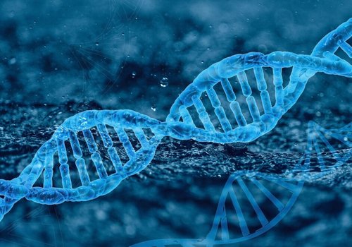 Квантовый эффект может быть причиной спонтанных мутаций ДНК