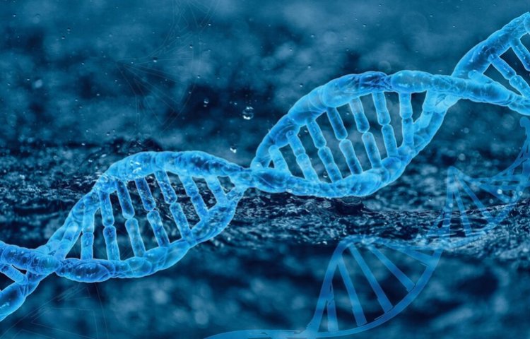 Квантовый эффект может быть причиной спонтанных мутаций ДНК