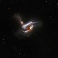 Хаббл запечатлел редкое слияние трех галактик
