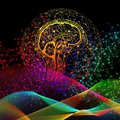 Тайна связи разума и тела наконец-то раскрыта? Открытие новой сети в моторной коре головного мозга