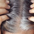 Ученые разгадали механизм, вызывающий поседение волос