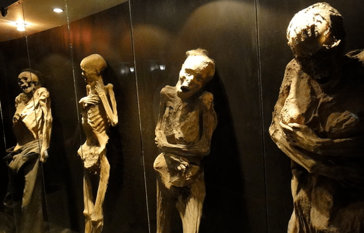 В Мексике ученые обеспокоены мумиями, которые могут заразить человека