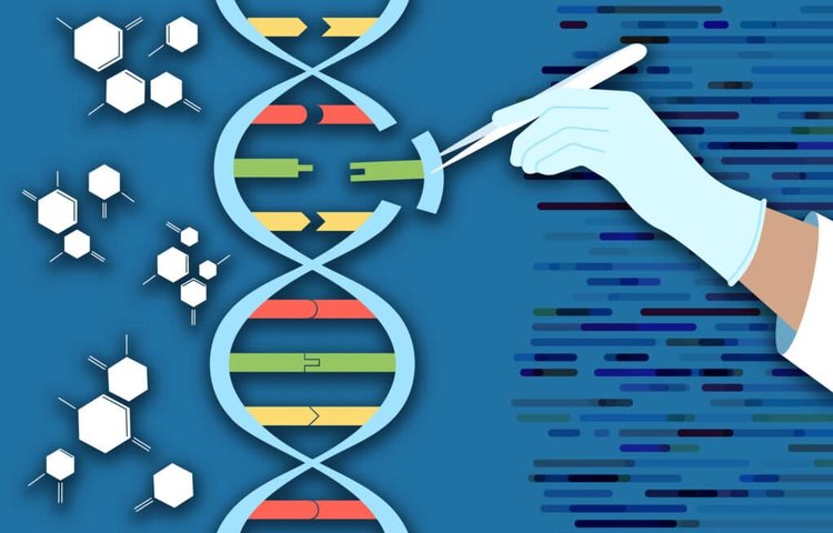 Редактирование генома: новый инструмент на основе CRISPR может вставлять в клетки большие последовательности ДНК