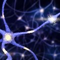 COVID: чрезмерная потеря нейронных связей объясняет стойкие когнитивные симптомы