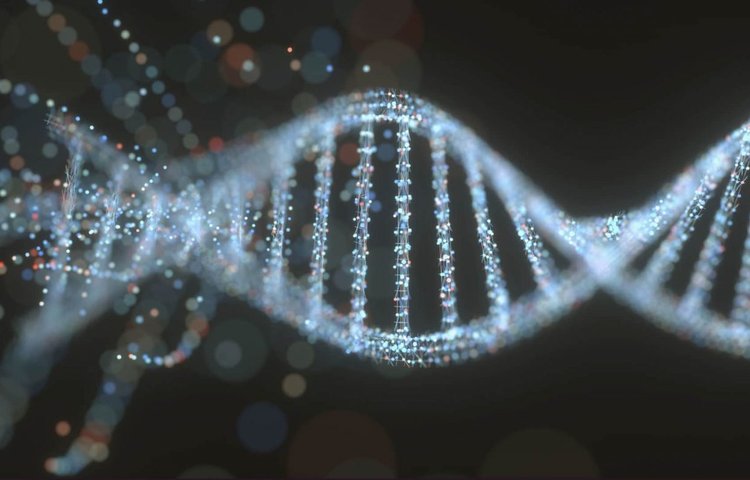 Редактирование генов может осуществляться непосредственно внутри организма с помощью CRISPR