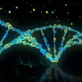 Выявлен ген, потенциально ответственный за волчанку: новый путь лечения?