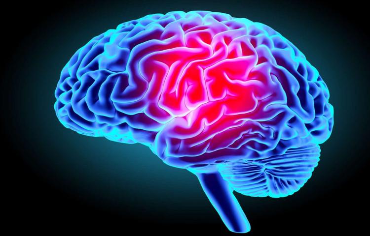 Мозговое происхождение шизофрении, наконец, будет определено