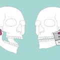 Ученые выявили третий слой мышц в человеческой челюсти