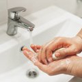Действительно ли мыло уничтожает вирусы? Если да, то как?