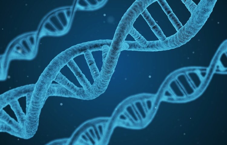 Обнаружение соединения, способного деактивировать ген, ответственный за метастазирование основных видов рака