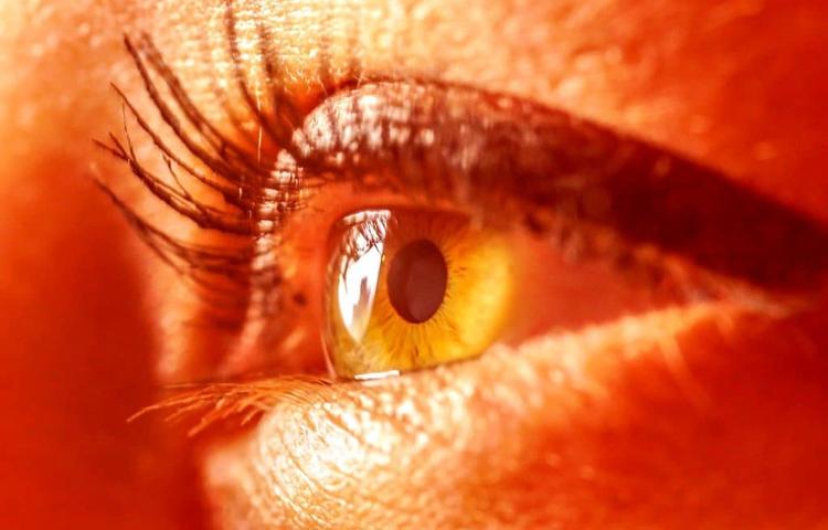 Новая терапия красным светом может частично восстановить остроту зрения, утраченную с возрастом