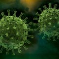 Covid-19: в Японии обнаружили новый вариант коронавируса