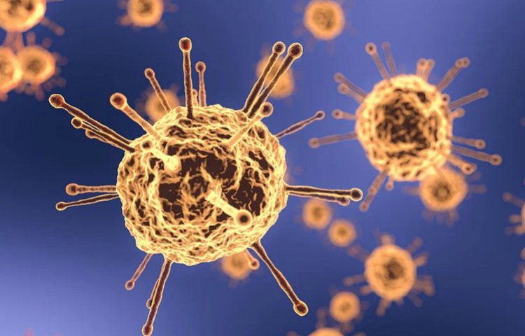 Covid-19: имеют ли уже инфицированные люди устойчивый иммунитет?