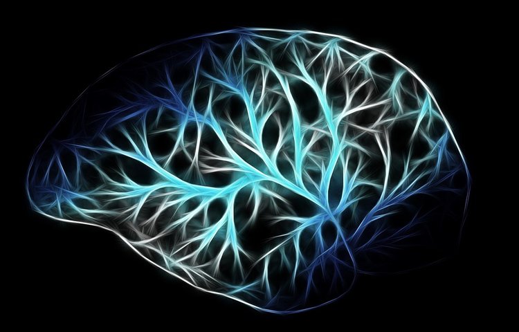 Ученые хотят подключить человеческий мозг к компьютеру через вены!