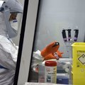 Бельгийский институт утверждает, что обнаружил антитело, которое может нейтрализовать коронавирус!