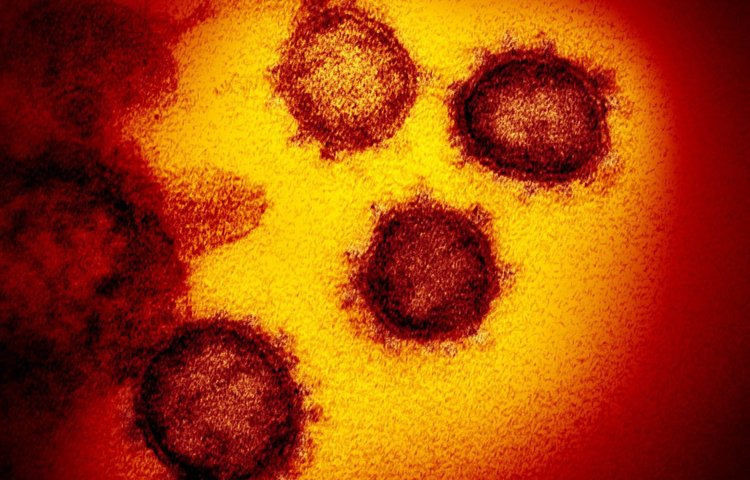 Первая фаза испытаний на людях начинается с экспериментальной вакцины против коронавируса