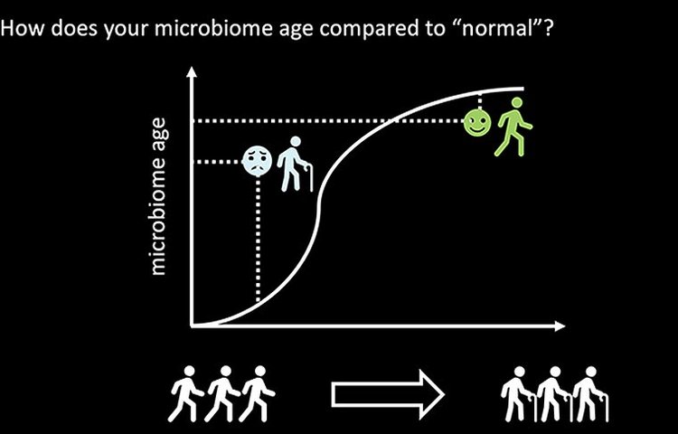 Исследователи могут точно оценить ваш возраст на основе микробов, живущих на вашем теле