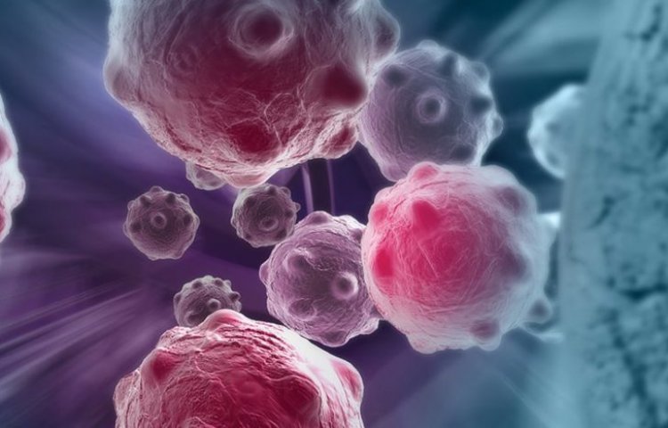 Наноматериалы на основе меди могут стать лекарством от рака, которого все мы ждали
