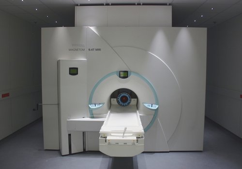 МРТ захватывает наиболее подробный вид человеческого мозга