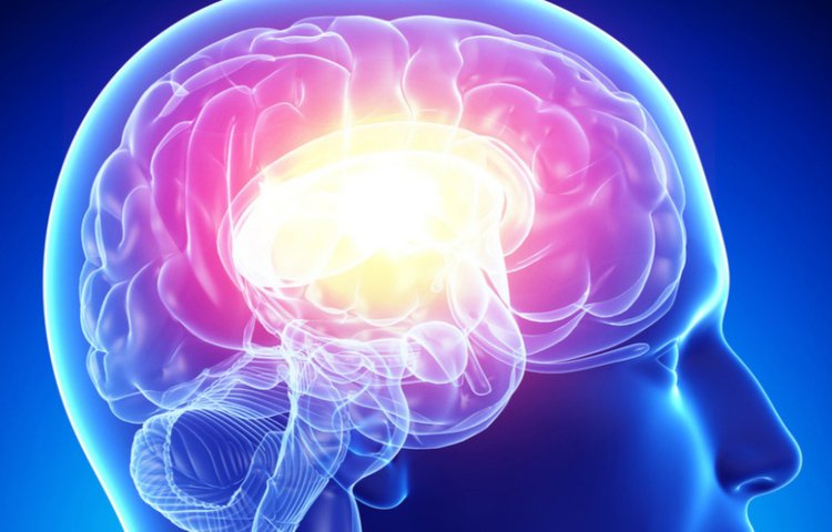 Ученые открывают мозговой рецептор, изменяющий настроение