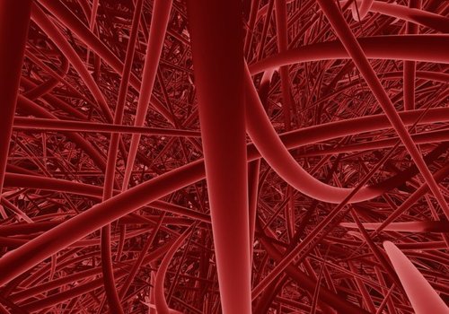 Кровеносные сосуды, встроили в живую кожу с помощью 3D-биопечати
