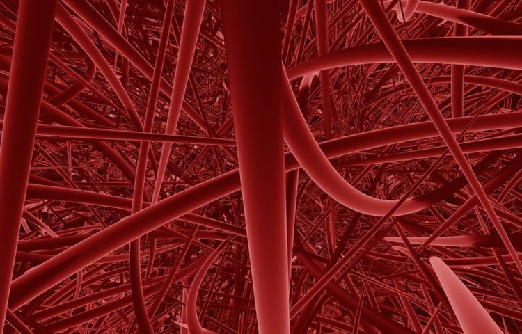 Кровеносные сосуды, встроили в живую кожу с помощью 3D-биопечати