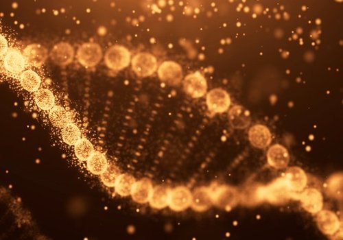 Радикально новый метод может напрямую редактировать клетки человека, чтобы избавиться от генетической болезни