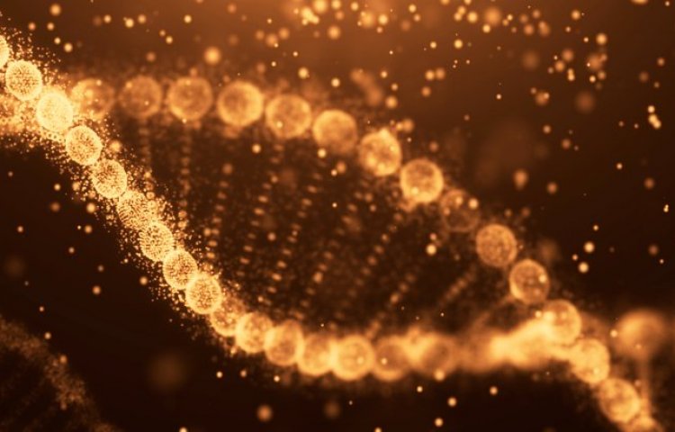 Радикально новый метод может напрямую редактировать клетки человека, чтобы избавиться от генетической болезни