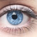 Голубые глаза являются результатом генных дефектов