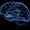 Ученые обнаружили метод омоложения мозга