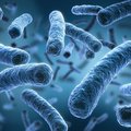 Обнаружено новое соединение, убивающее устойчивых к антибиотикам супербактерий
