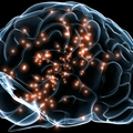 Стимулирование мозговых зон сохраняет память