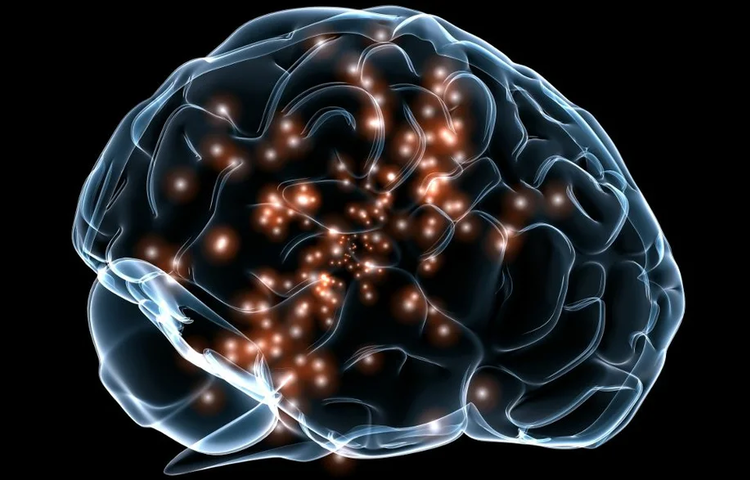 Стимулирование мозговых зон сохраняет память